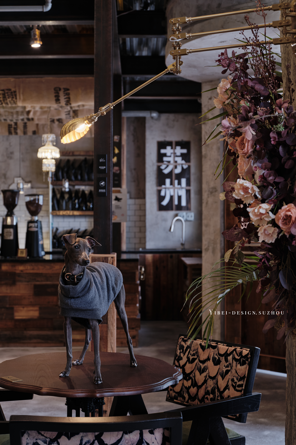 PST黑犬咖啡2.0丨商业空间设计-10