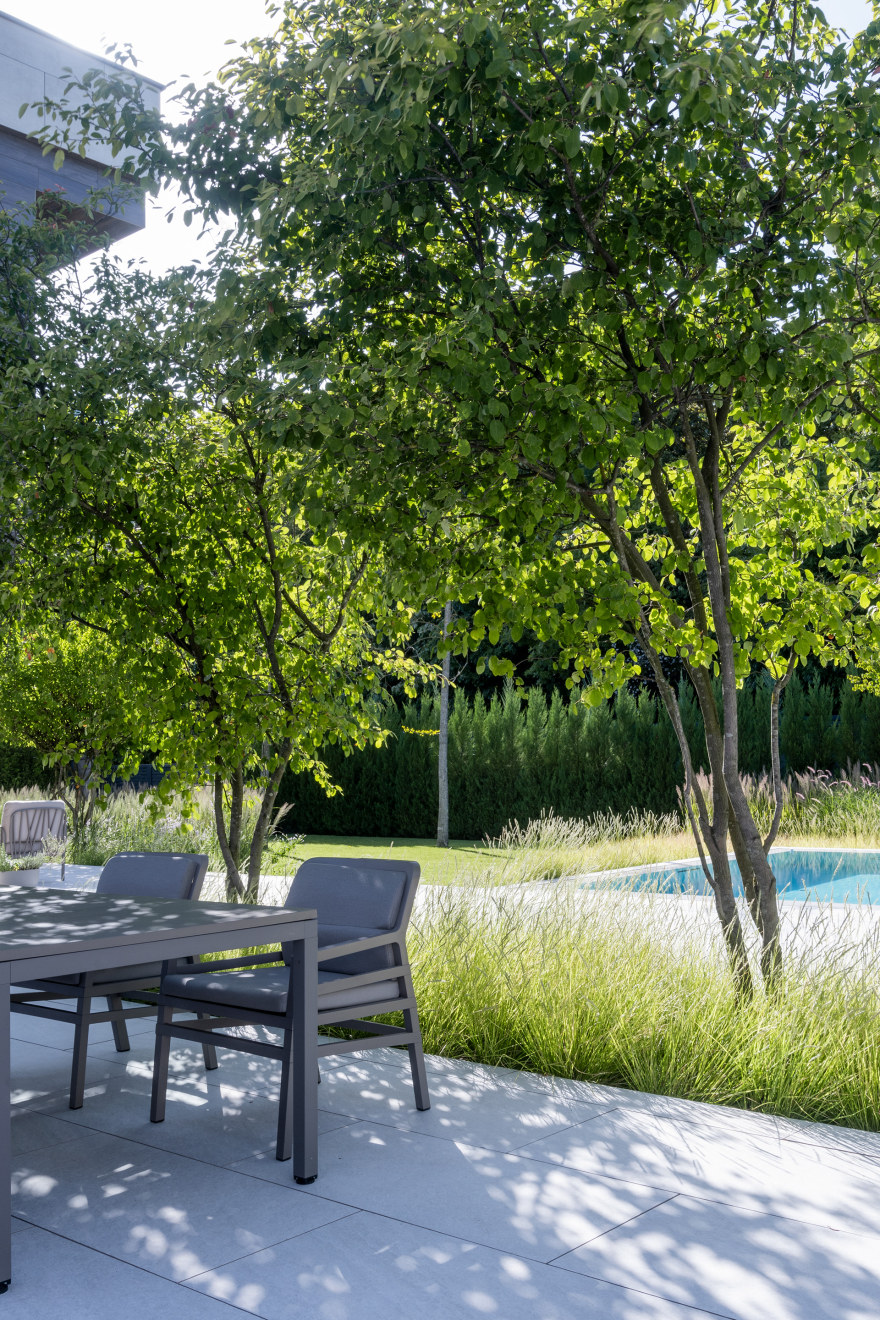 SERENITY GARDEN 景观设计-7