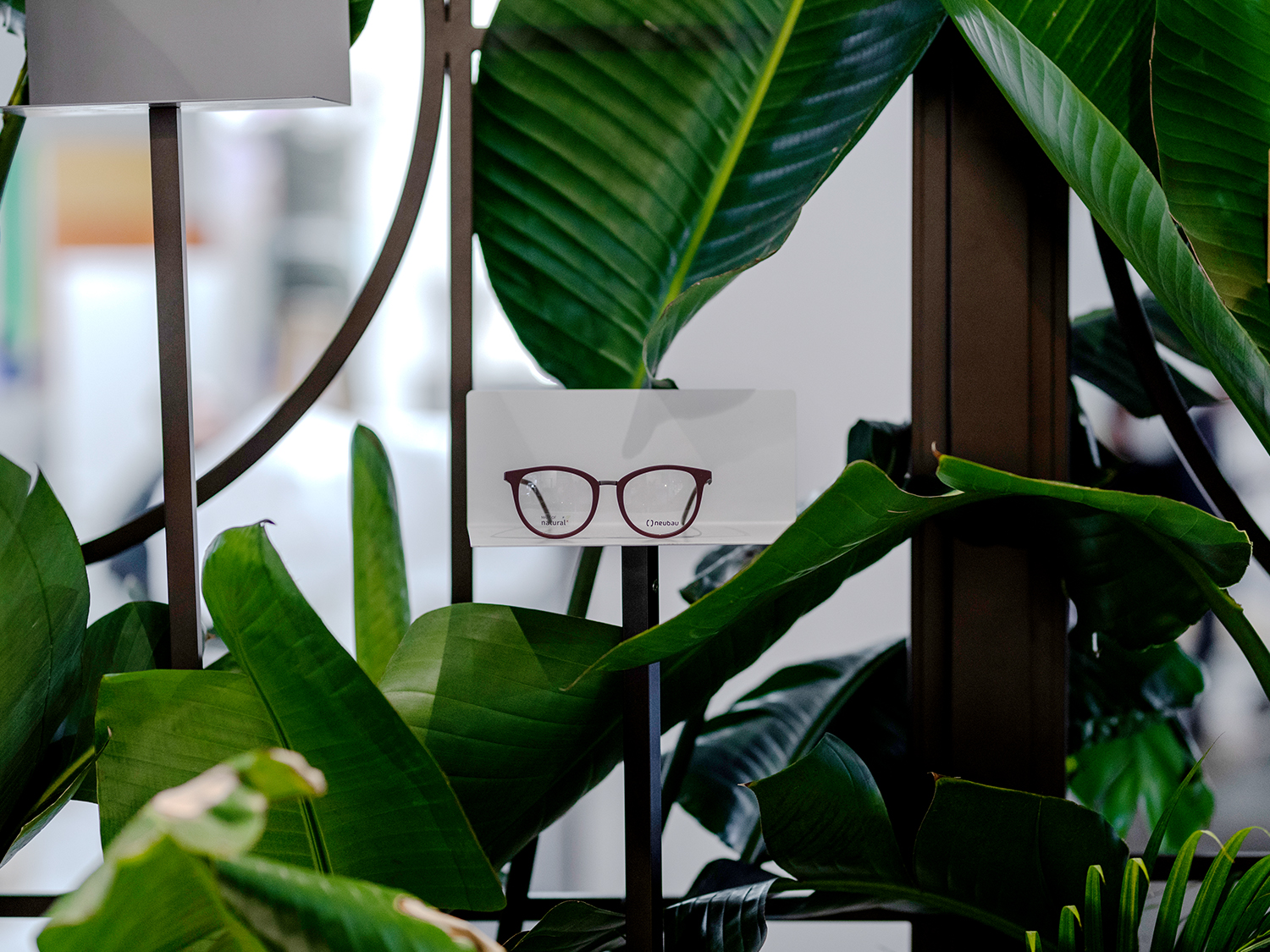 Bauhaus 绿意盎然-18