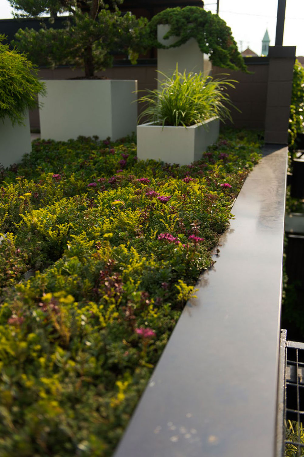 丨美国芝加哥-21