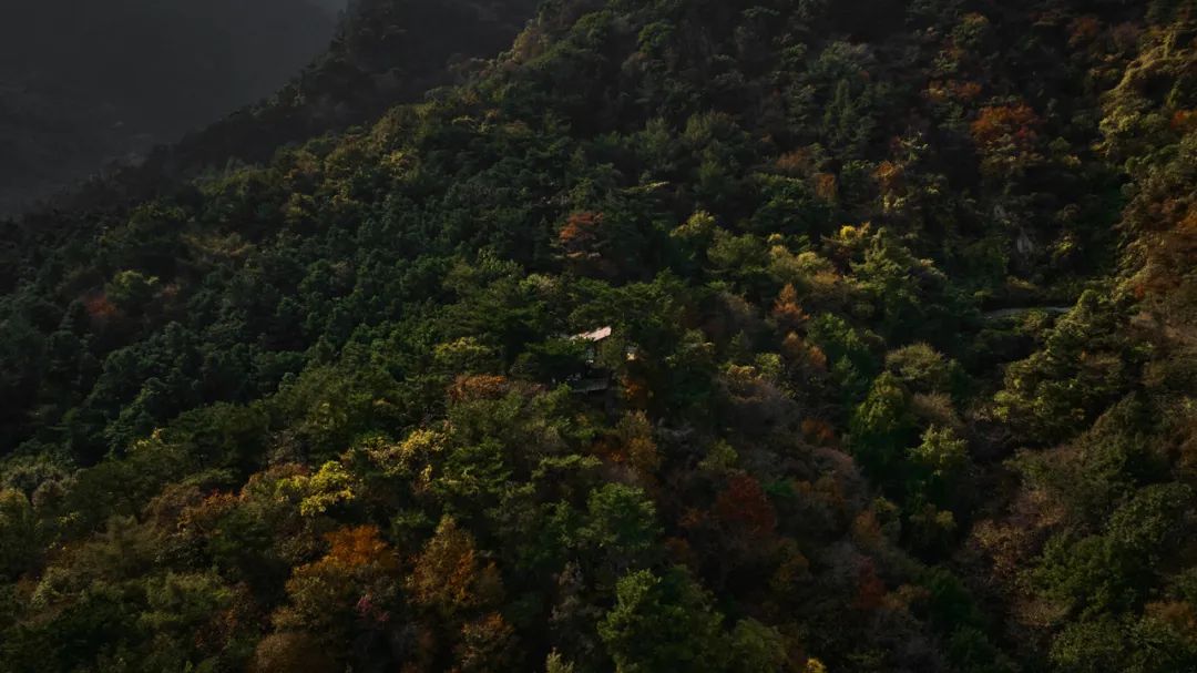 临崖与框悠丨中国烟台丨大小景观-24