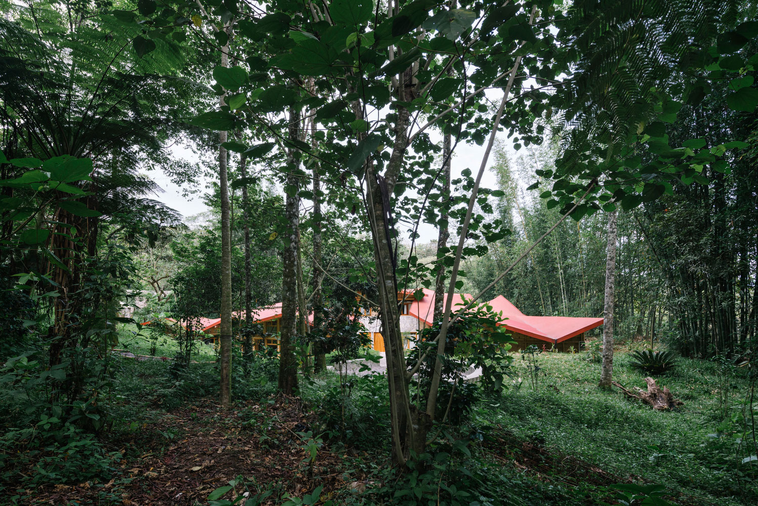 Tourist Hostel designed by Proyecto Cafeína in the Cty of Puebla in Mexico-32