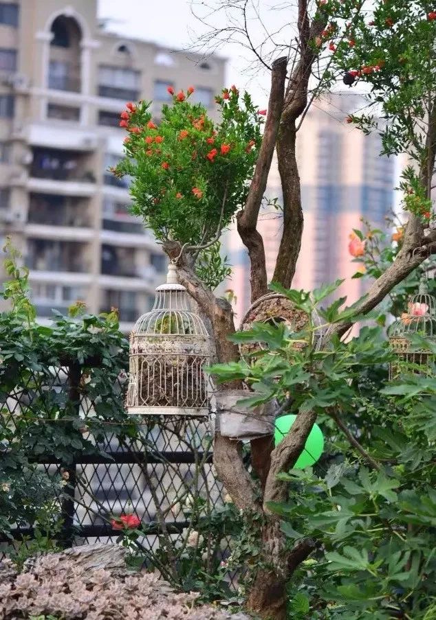 火遍魔都超700㎡网红花园，看过的人都被圈粉-25