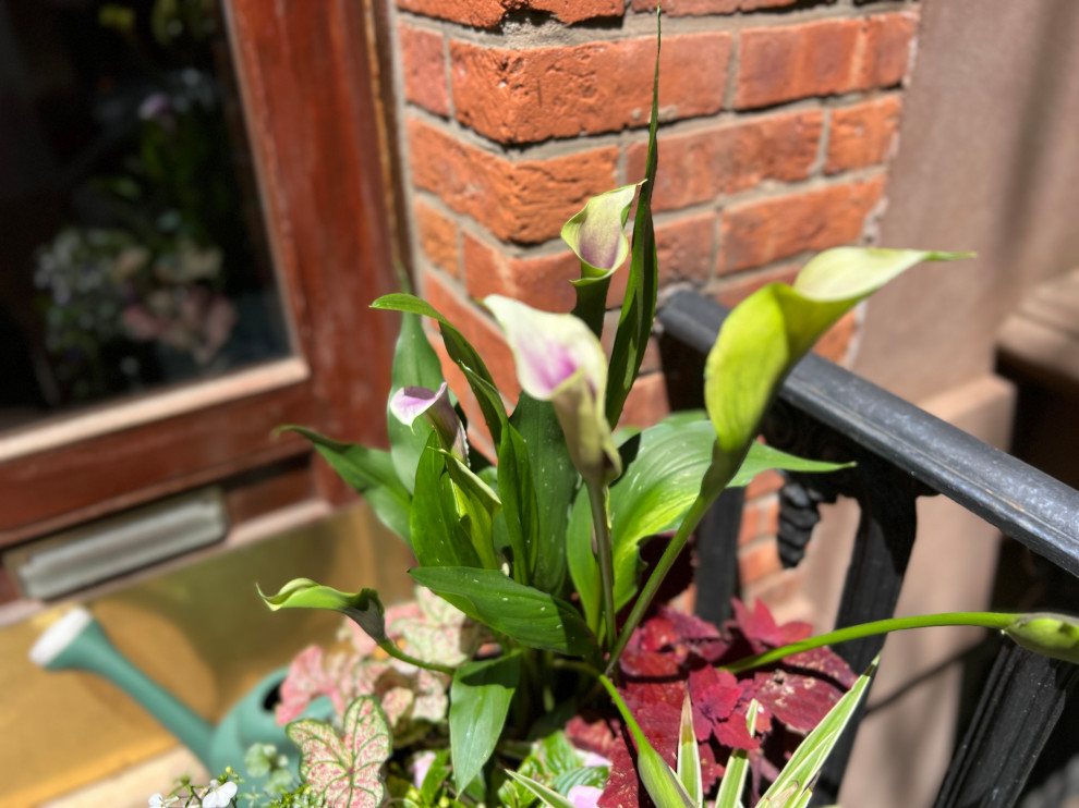 Brooklyn Heights reno-33