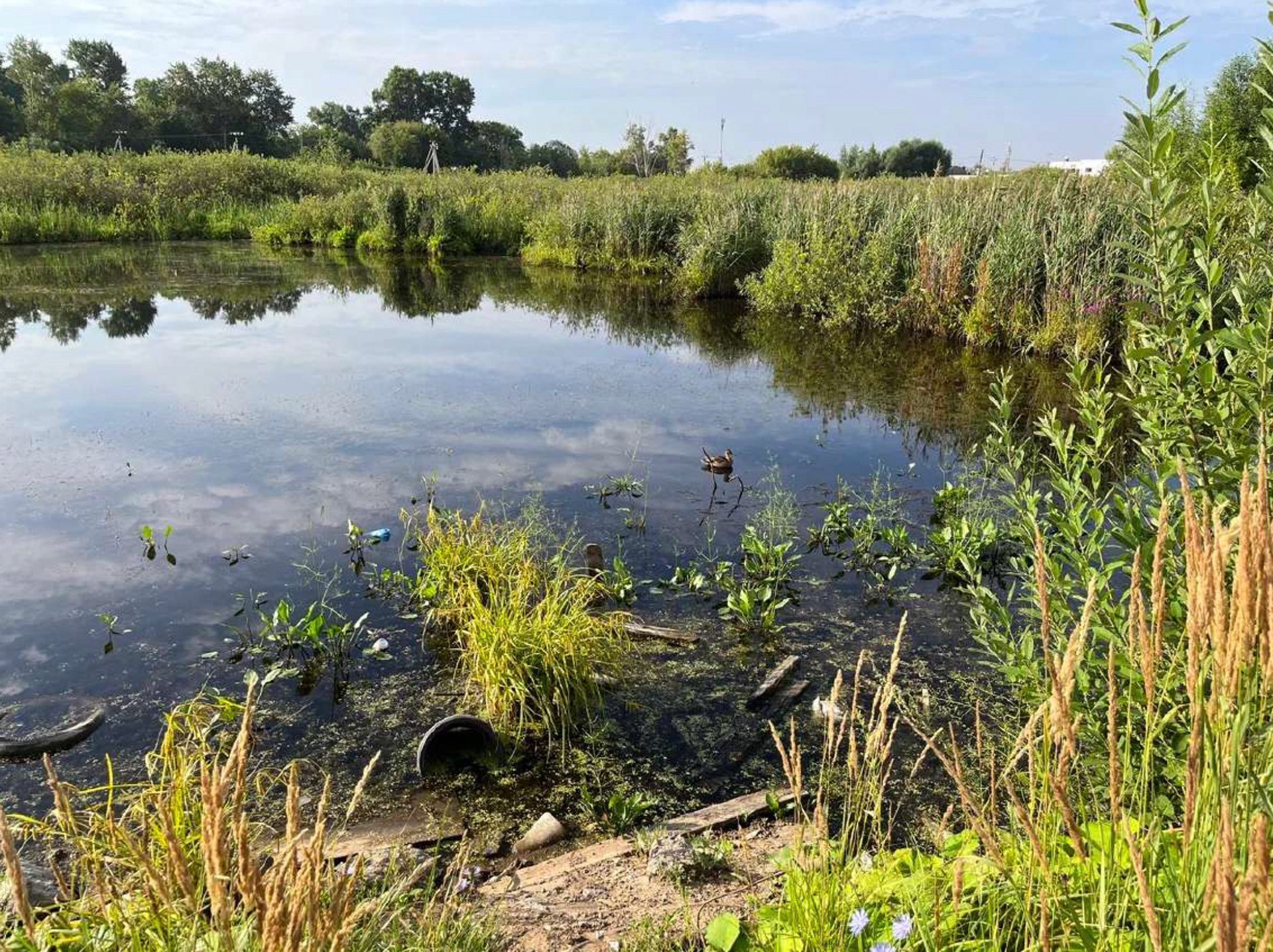 学校景观设计丨俄罗斯诺夫哥罗德丨LAMP-13