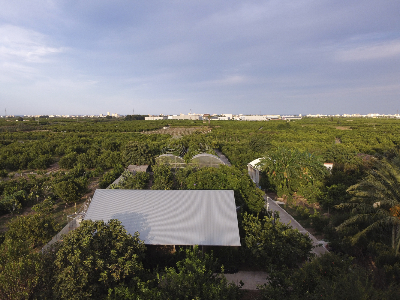 橙园中的食验室丨Carlos Salazar 工作室-24