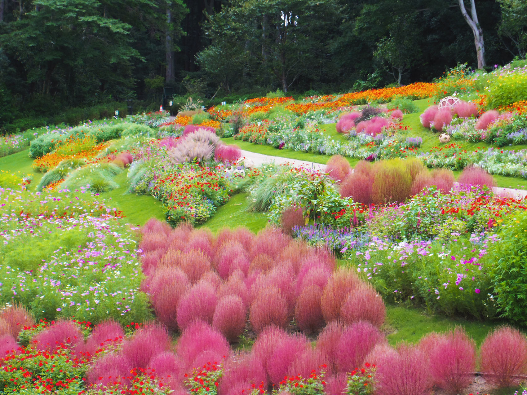 日本里山花园丨户田芳树风景计画-41