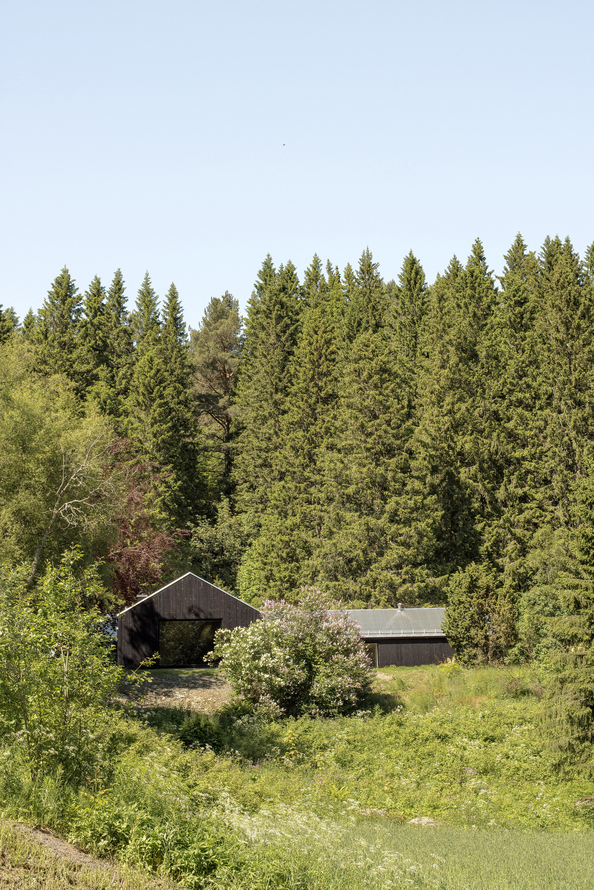 T 之家丨挪威丨Sanden+Hodnekvam Architects-20