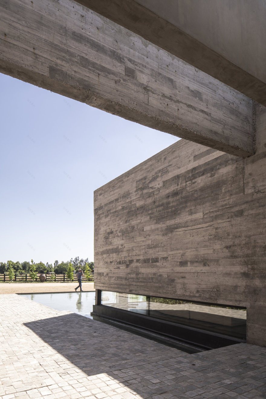 丨智利丨Nicolas Vicente-22