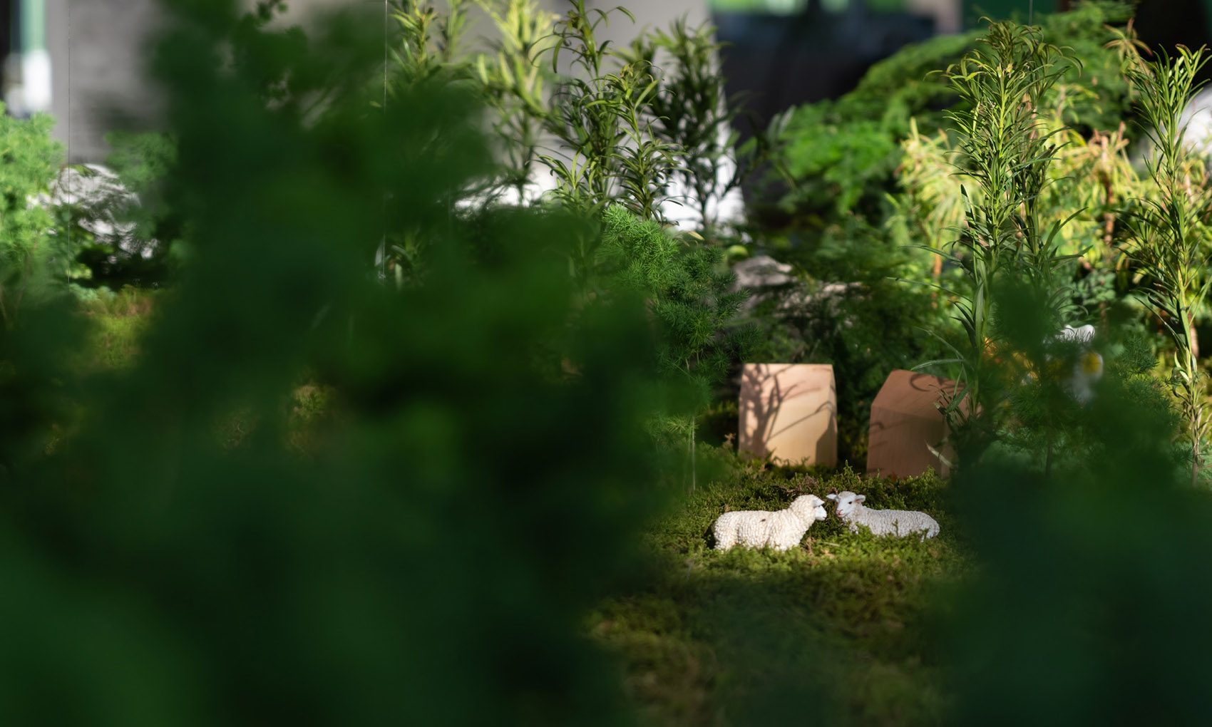 “绿梦” · 上海城市空间艺术季丨中国上海丨THLA天华景观-39