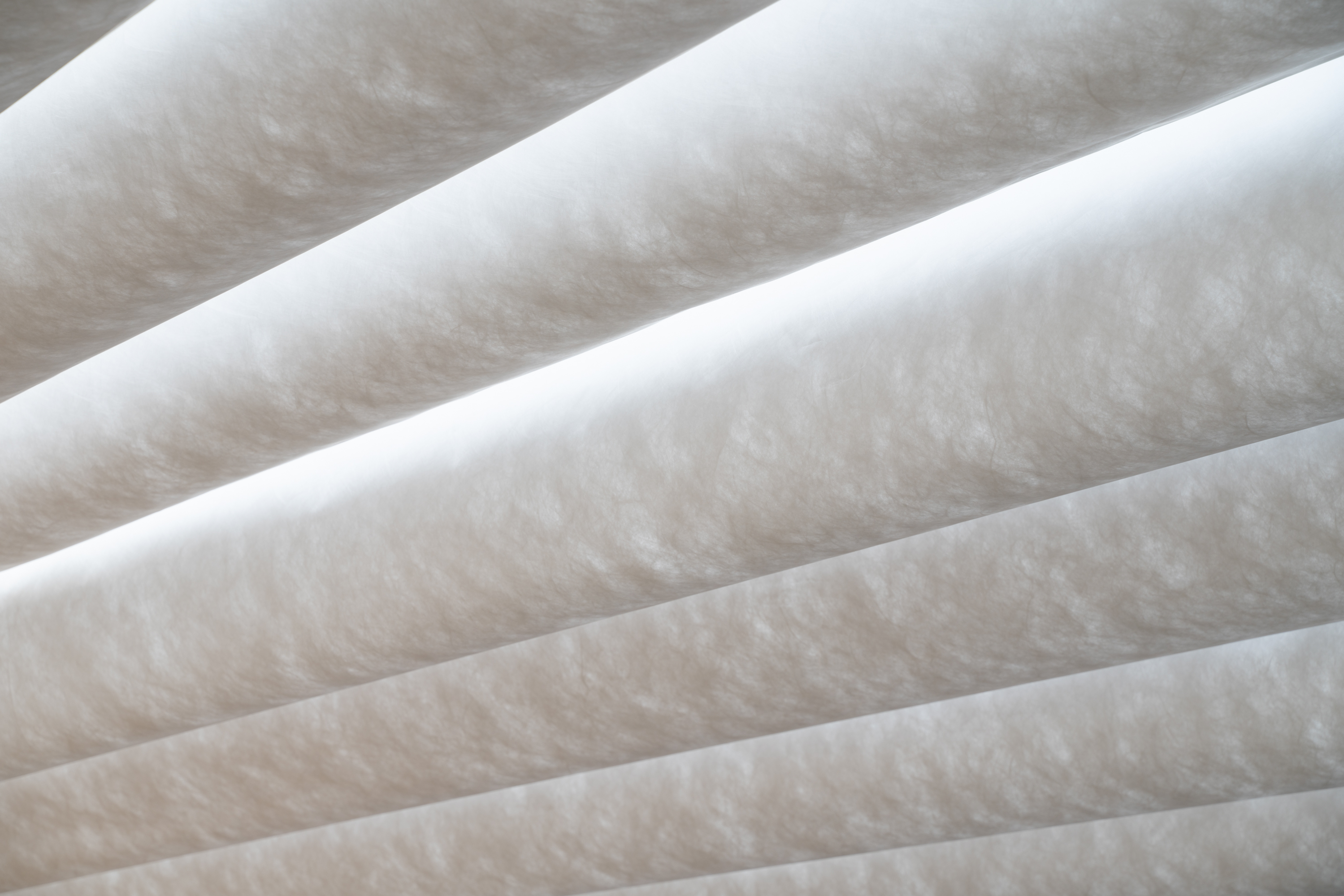 言乐庭（Whisper of Wind）-18