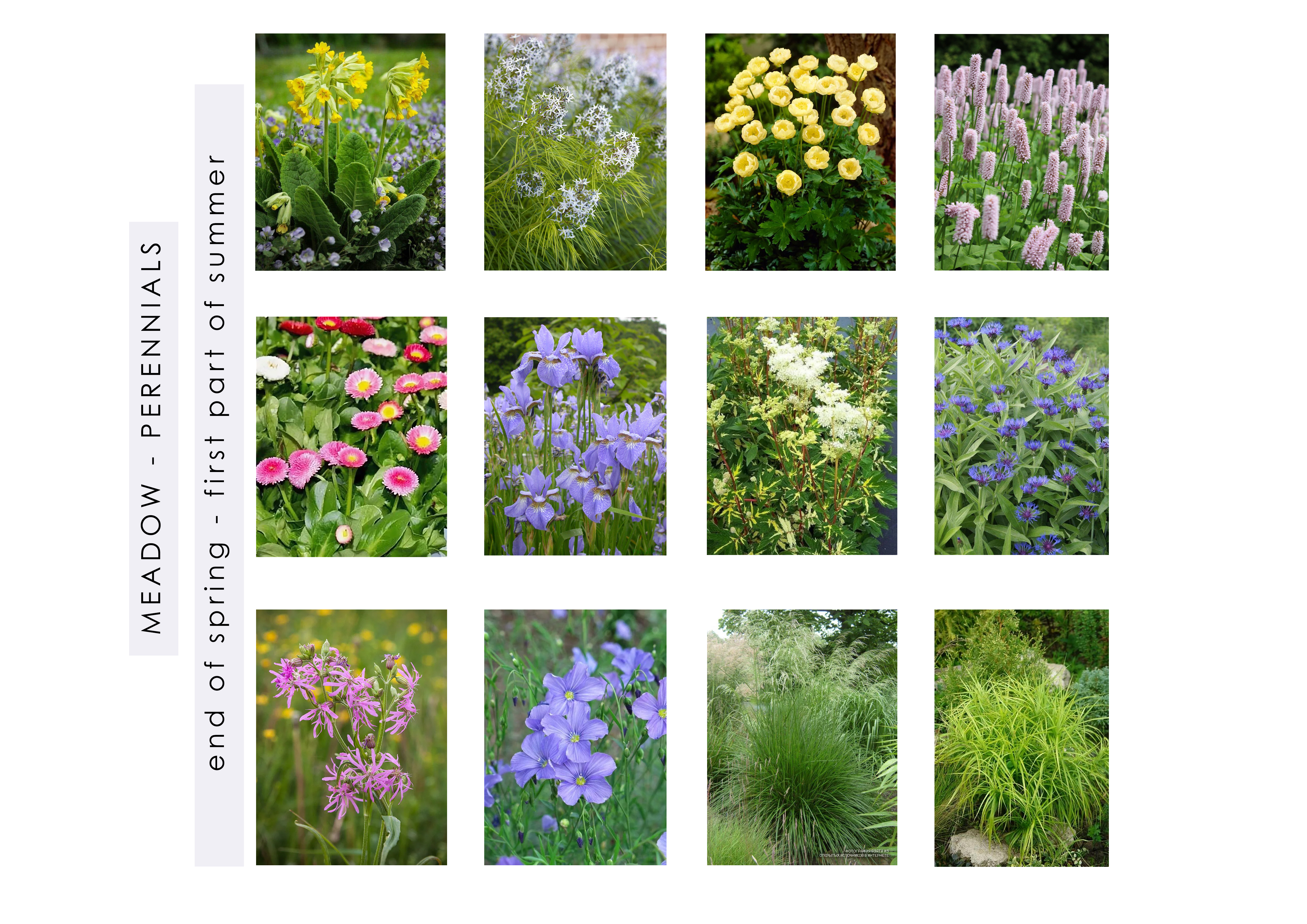 Private garden, 2023-12