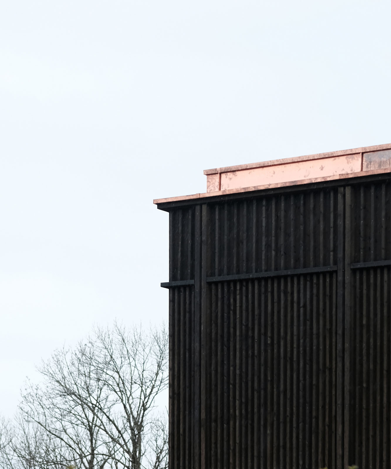 带有三个花园的房子丨Allen + Crippa-33