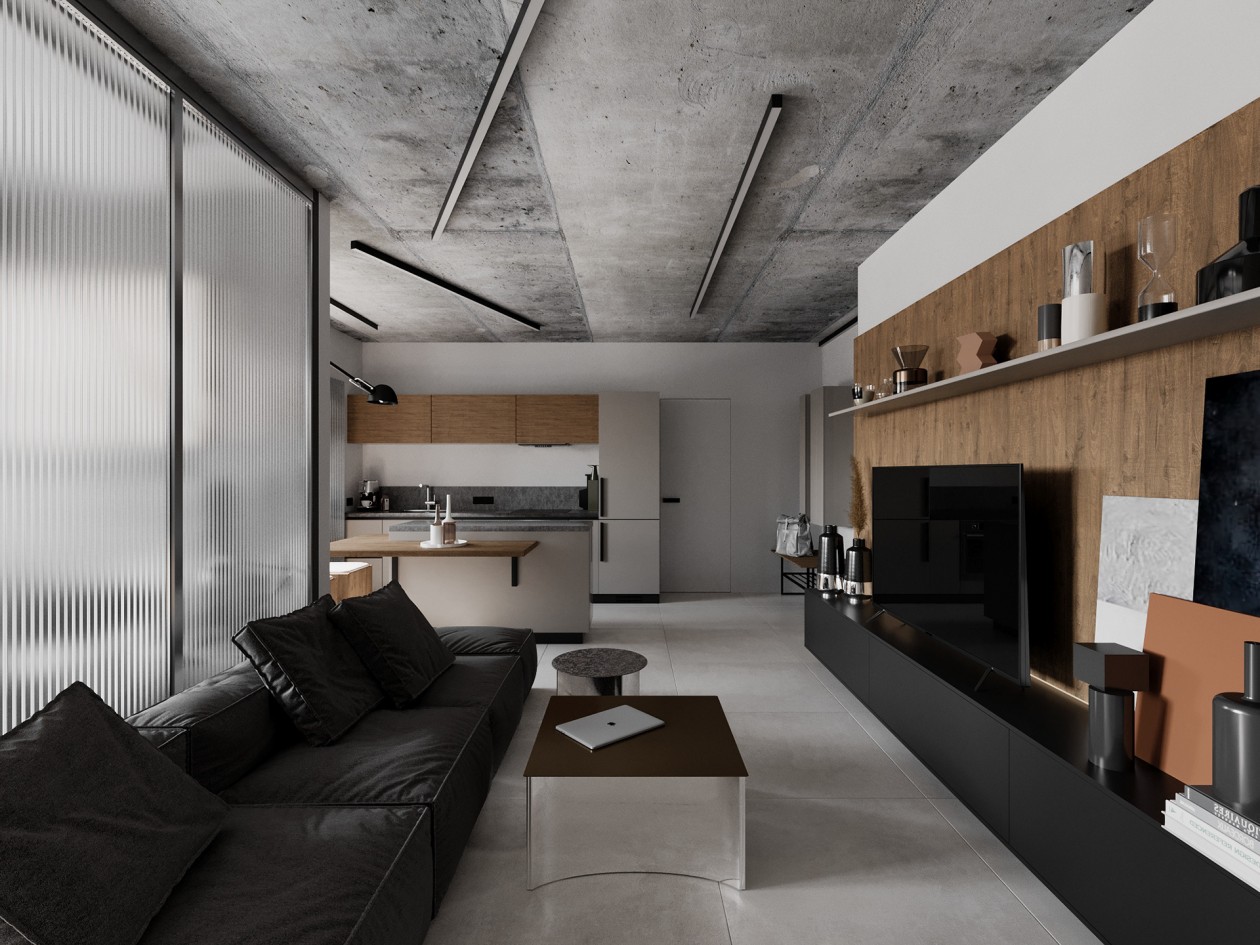 乌克兰 48.8㎡工业风质感公寓-0