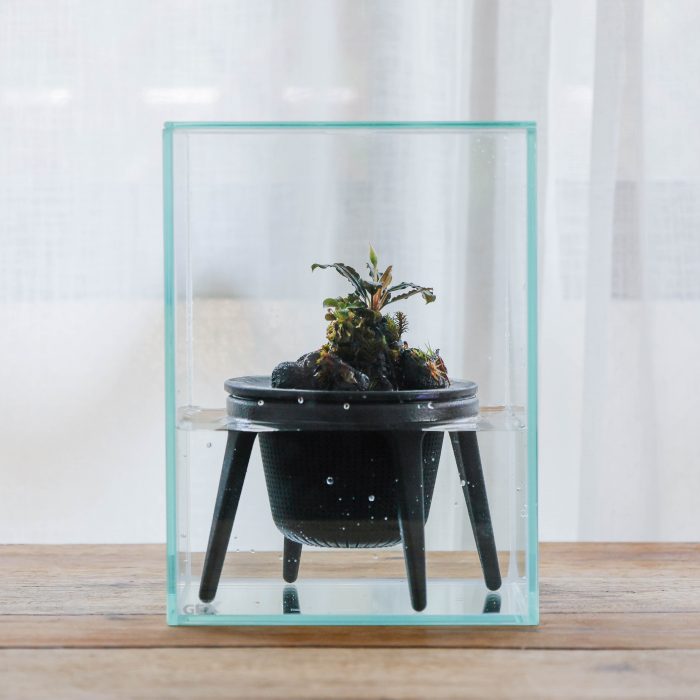 HYGRO STAND Ⅱ湿生植物专用种植架更新项目丨PLANTS DESIGN（代表:マックス（竹内一馬））-52