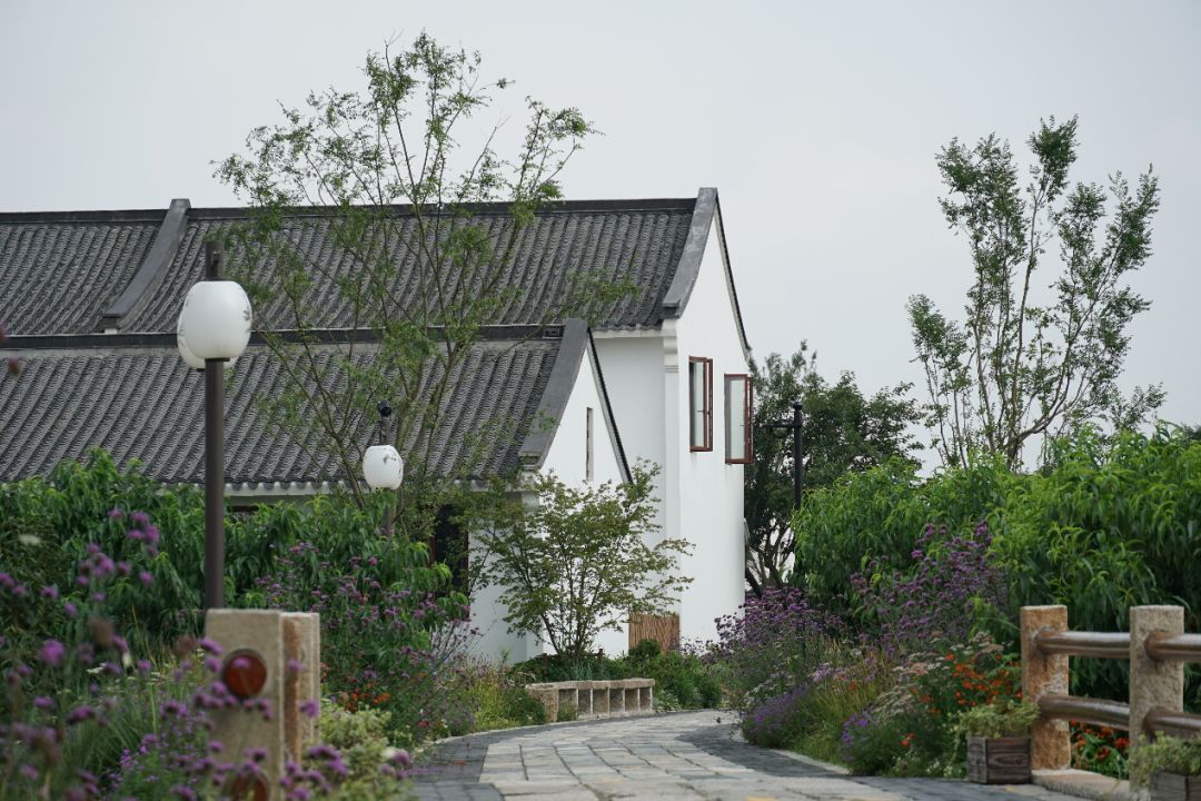 上海吴房村乡村振兴示范村整体规划,建筑,景观,风貌提升设计丨中国上海-116