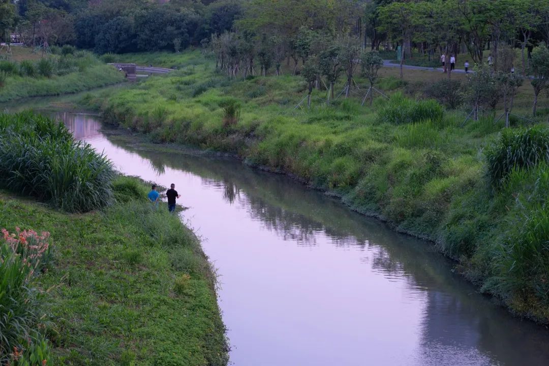 深圳低碳城滨水公园丨中国深圳丨AUBE欧博设计-16