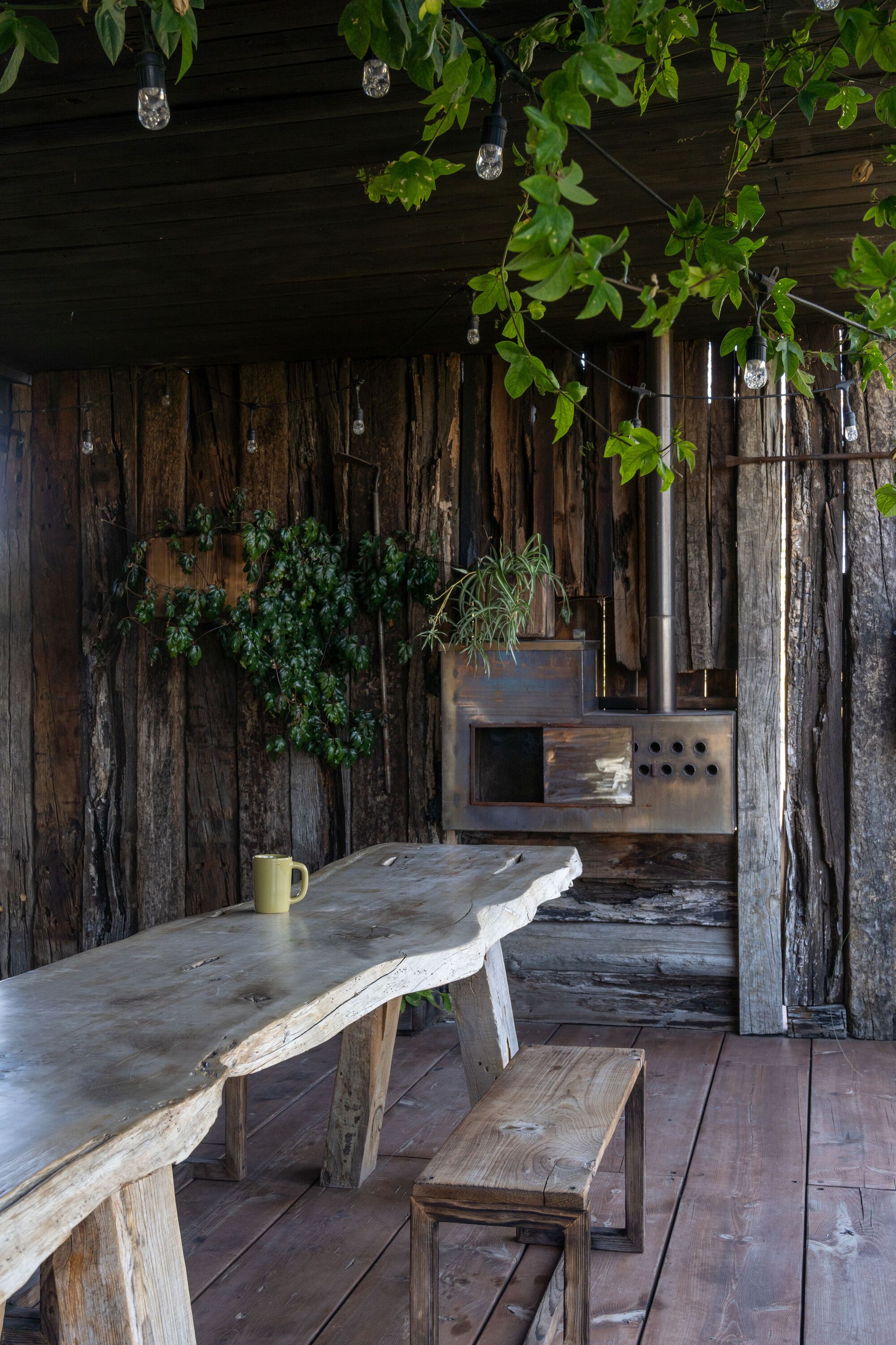 中村屋丨墨西哥丨Fausto Terán,Toro-21