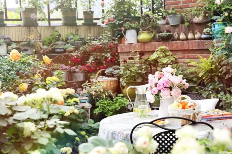 拥有一个这样的小院，人生足矣！-13