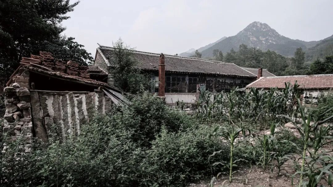 柱林餐厅 | 游走于竹与柱之间的绿色共生空间-5