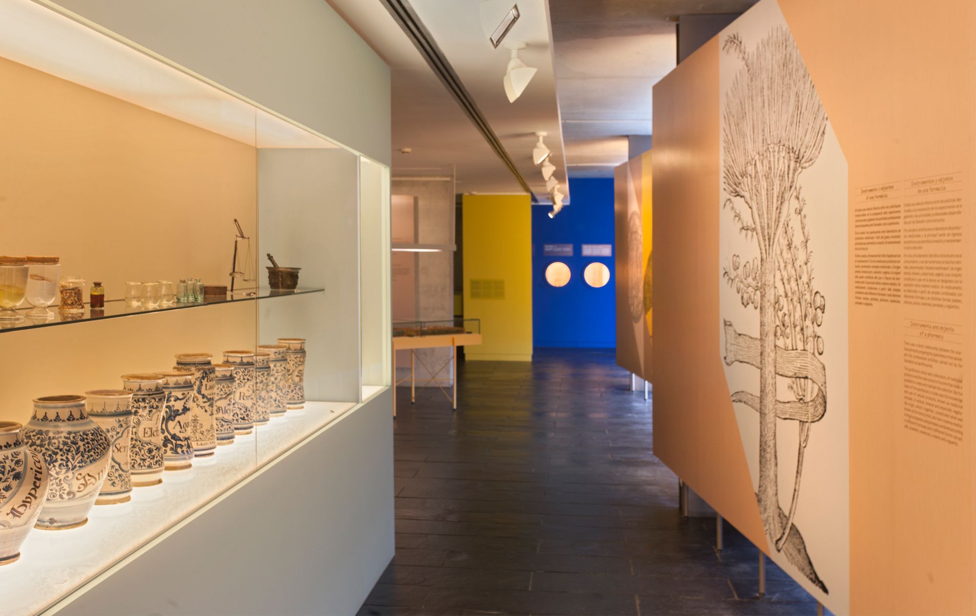 SALVADORIANA科学藏品展丨西班牙巴塞罗那丨emiliana design studio-11