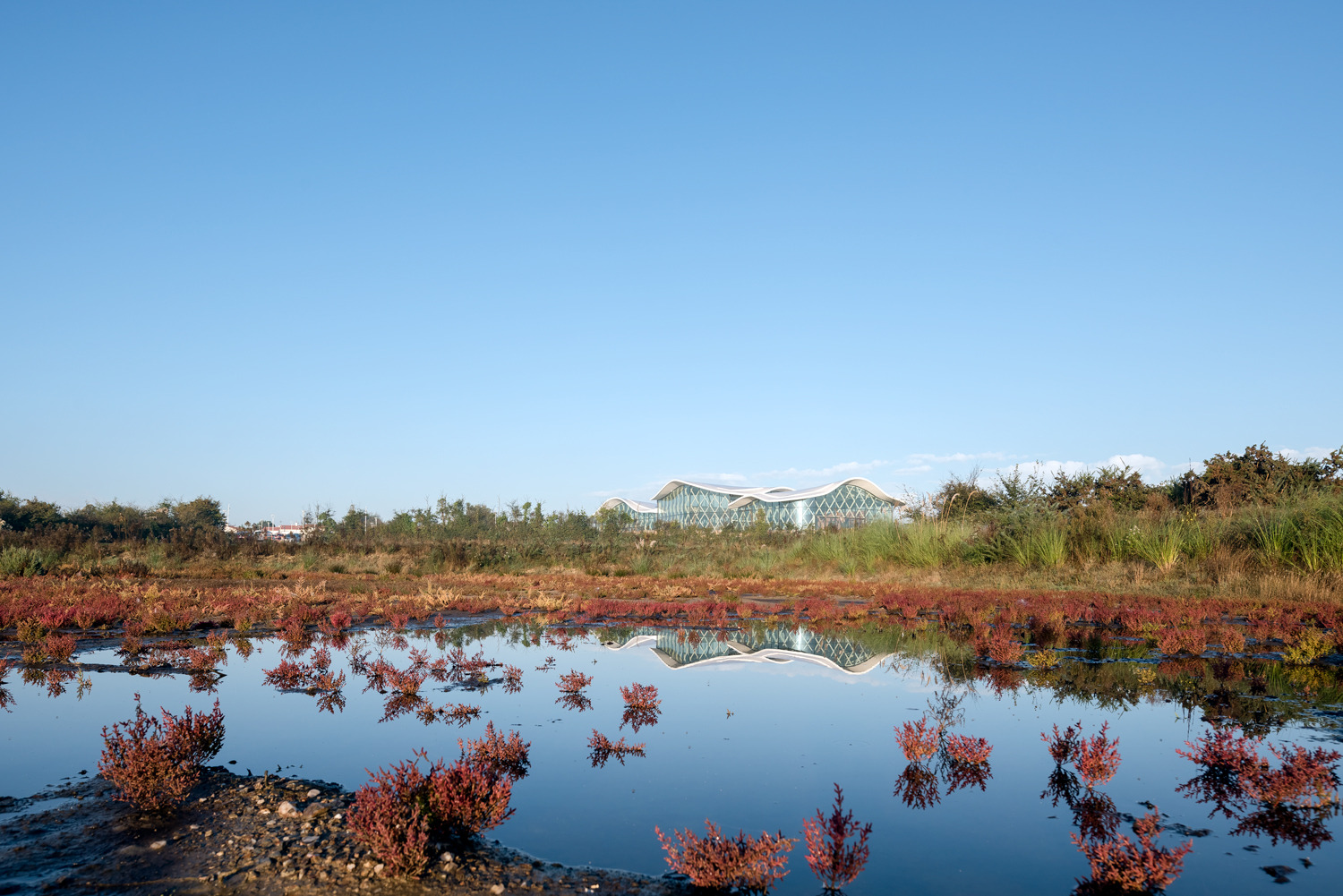 体育馆丨MultiplexeAquatique-24