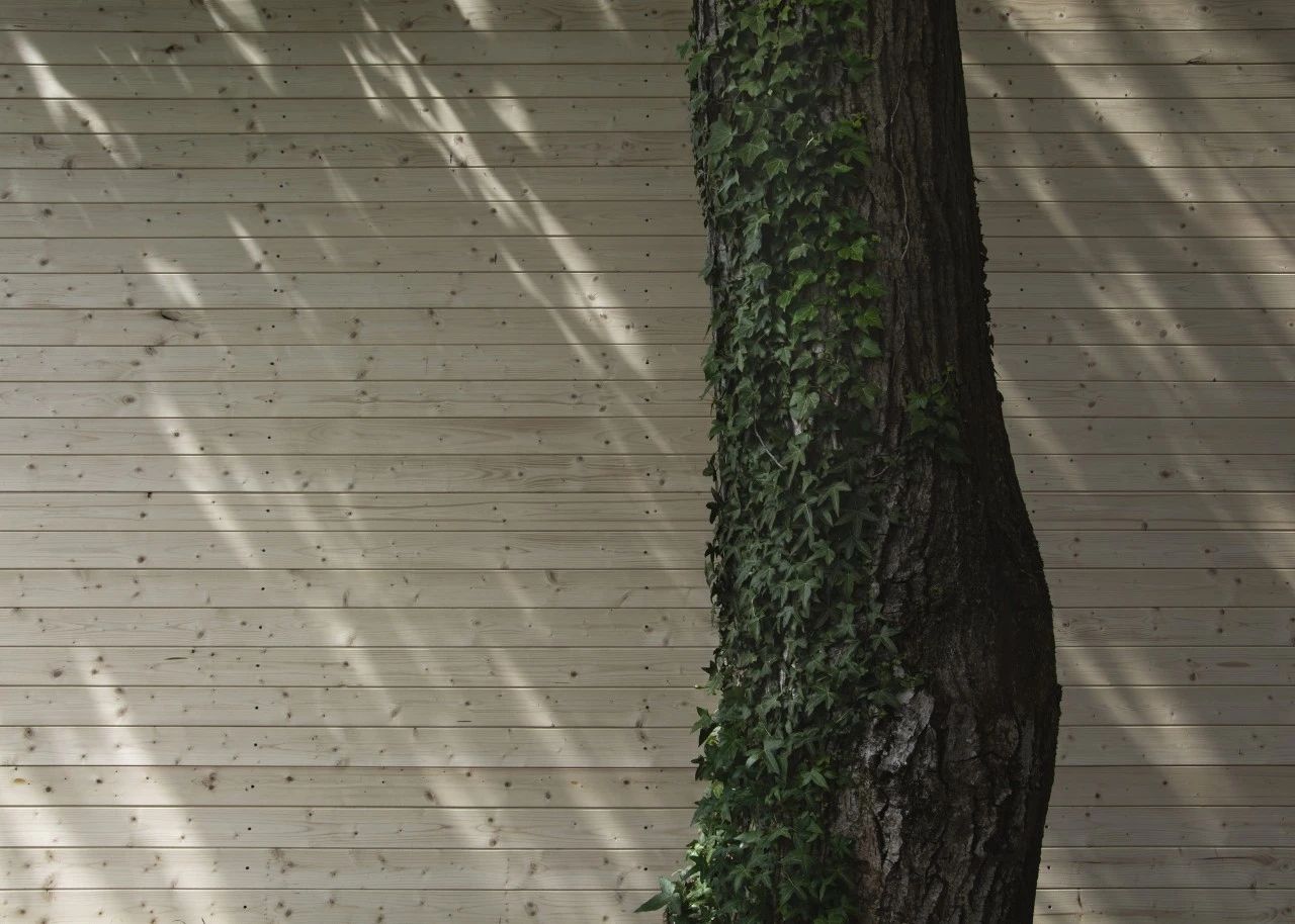 莱萨多巴利奥修道院丨葡萄牙丨阿尔瓦罗·西扎（Álvaro Siza Vieira）-97