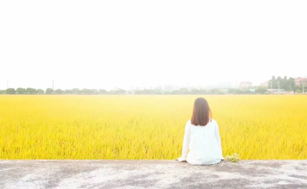 广州 115㎡女孩之家,纯软装打造文艺生活空间-0