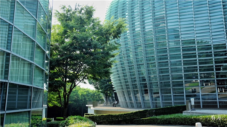 东京国立新美术馆丨日本东京丨黑川纪章-11