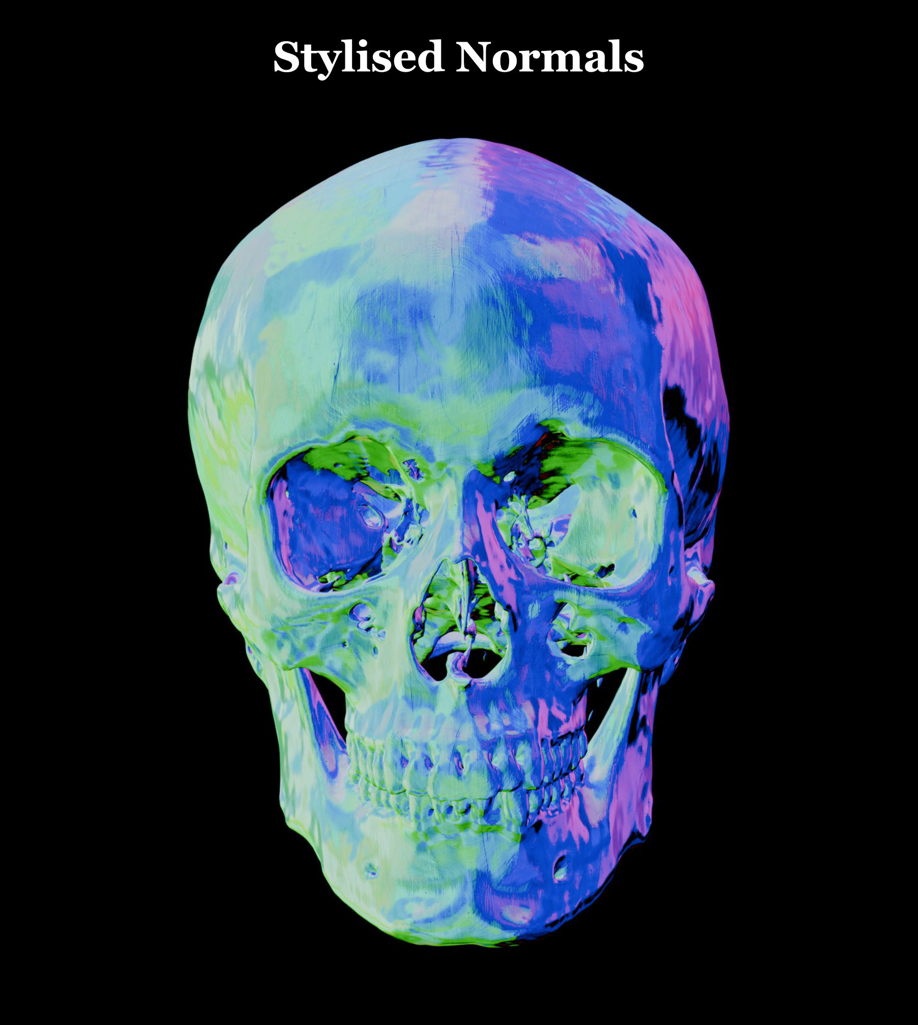 风格化生物学-13