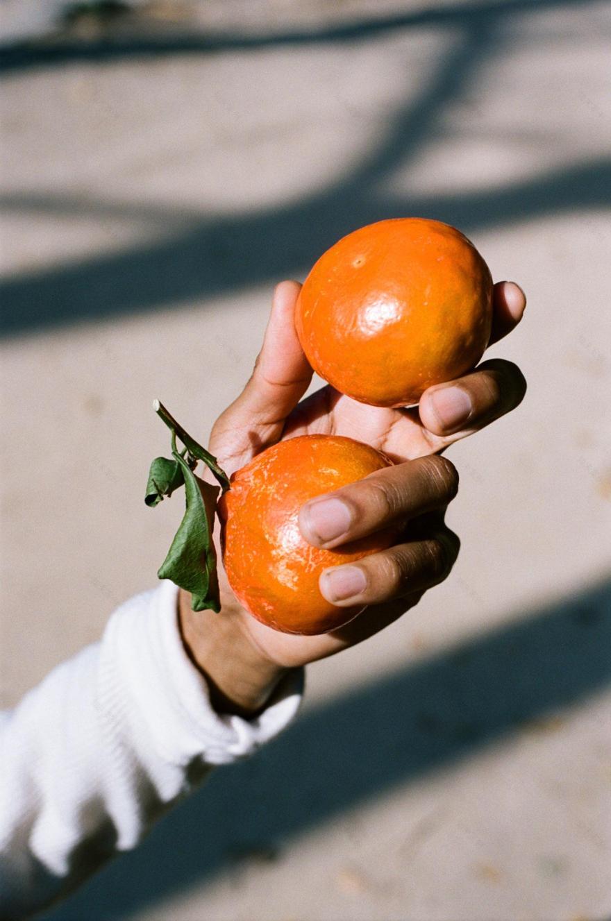 地球议题自由基金筹集活动助力黑人的命也是命运动-17