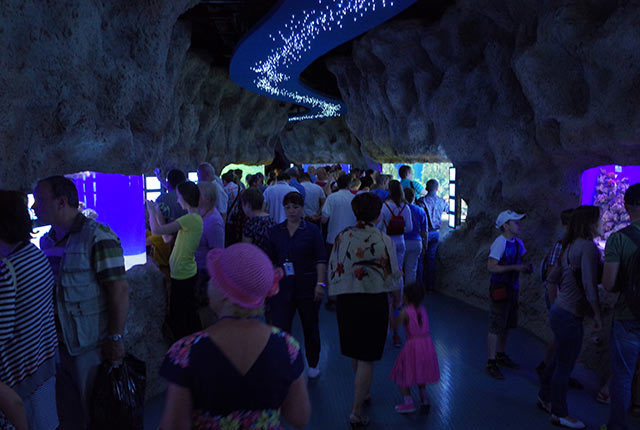 莫斯科海洋与生物中心“莫斯科水族馆”丨俄罗斯莫斯科丨Aqua Logo Engineering(暂译:水标工程公司)-18