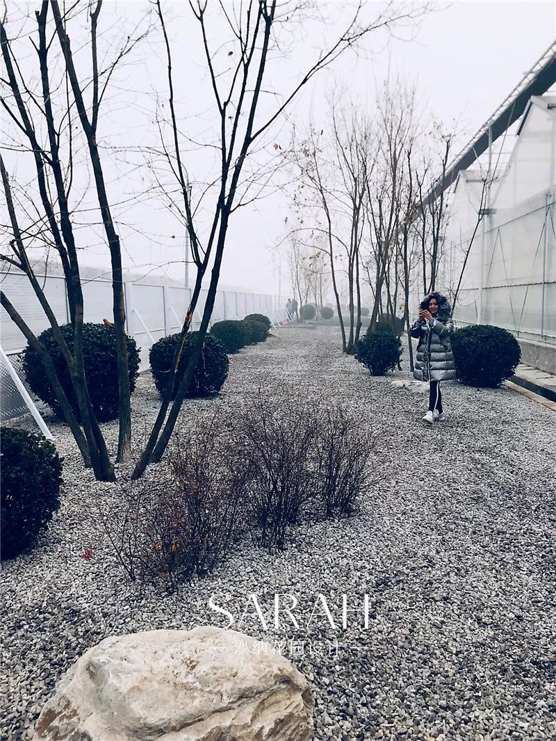 高技术与高颜值的京东"未来“植物工厂-20