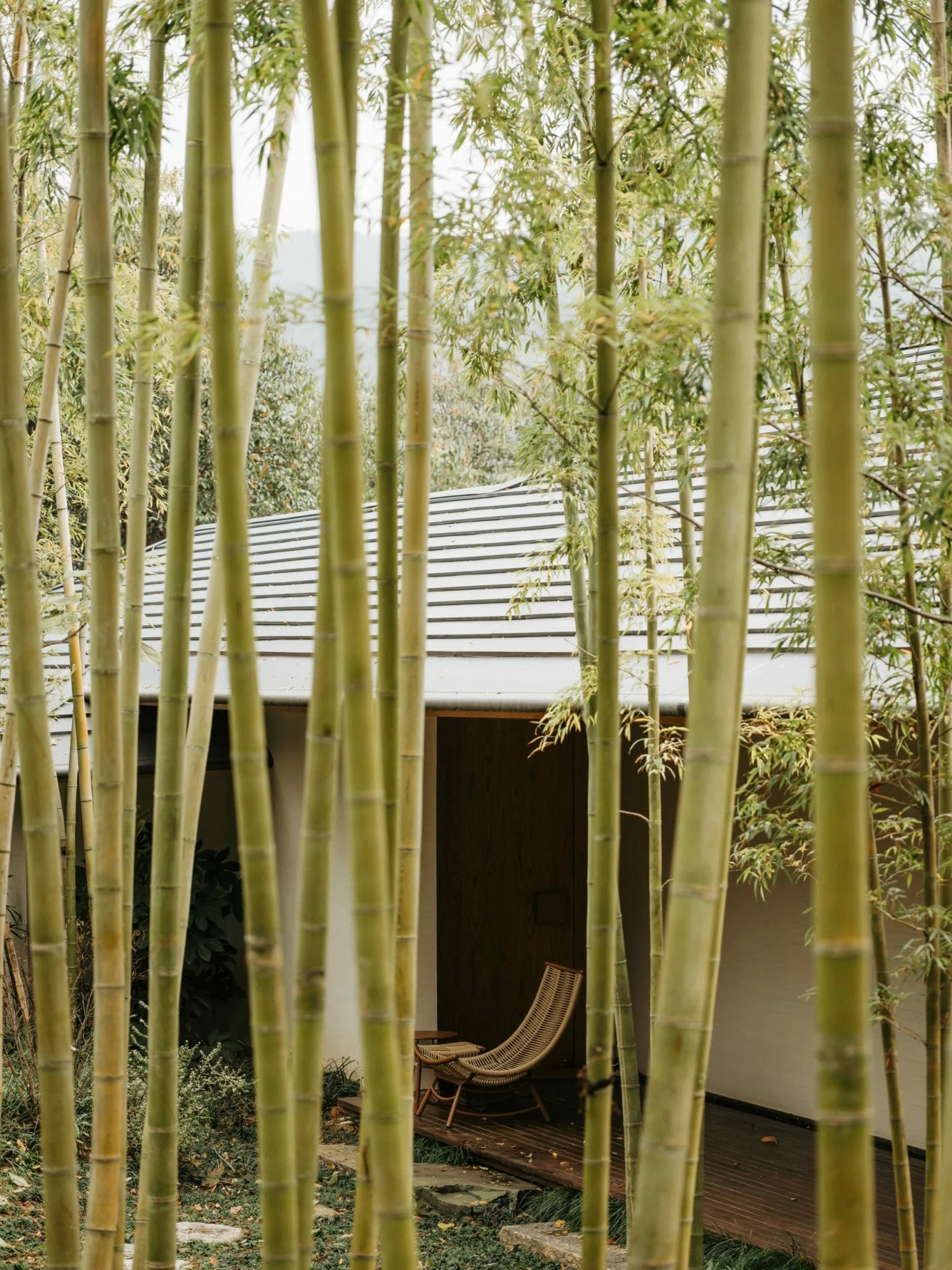 陶园丨中国丨中国美术学院风景建筑设计研究总院熊礼和团队-26