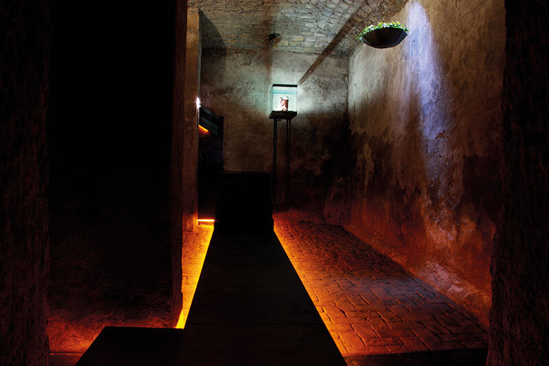 Museum for one object（单一物品博物馆）丨墨西哥丨Agostino BOSSI-3