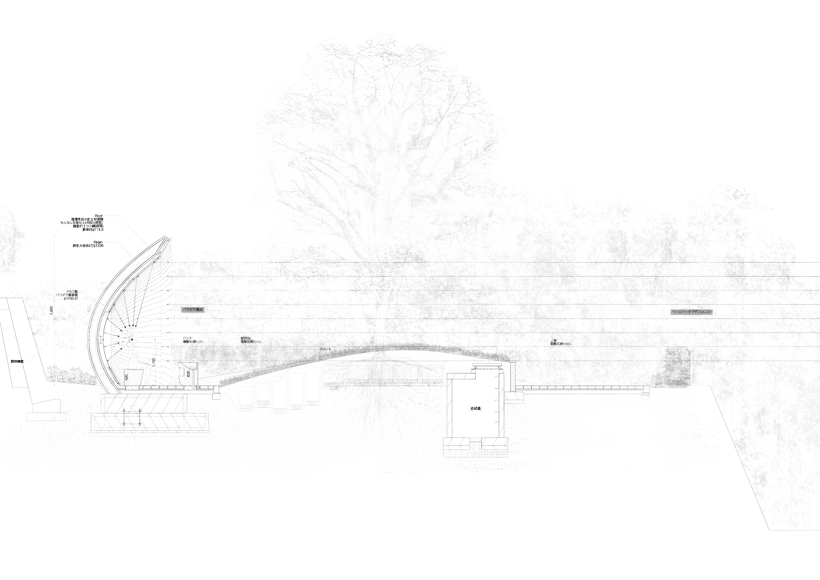 狭山十轮灵堂丨日本埼玉丨中村拓志-8