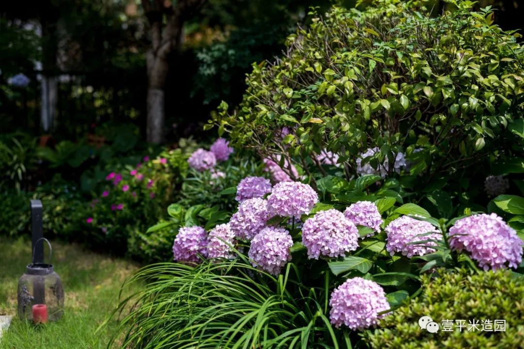 四季芬芳 · 湖南壹平米园林景观设计丨中国湖南丨湖南壹平米园林景观有限公司-19