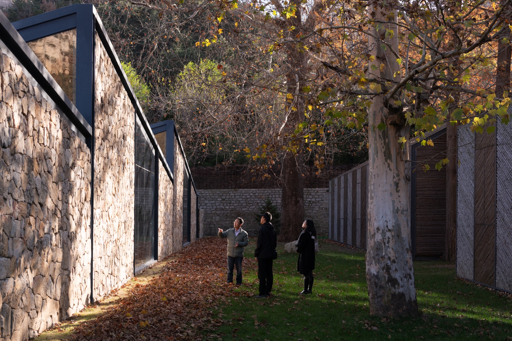 昆嵛山国家级自然保护区基础设施设计项目丨大小景观团队（Atelier Scale）-8