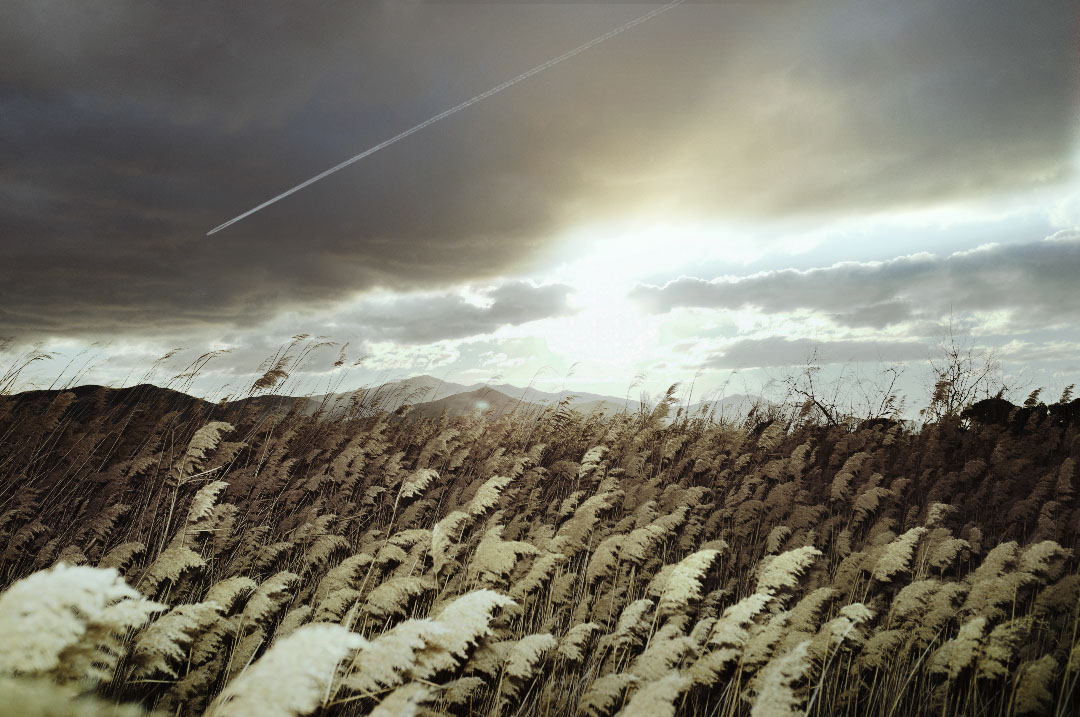 摄影作品：城市近郊的风景，希腊 / Petros Koublis-18