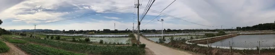 卧龙特色田园乡村规划丨中国镇江丨江苏省建筑设计研究院股份有限公司-28