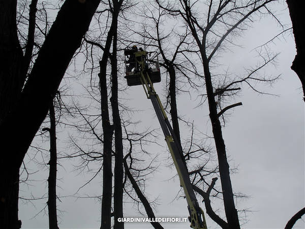 历史公园改造-9