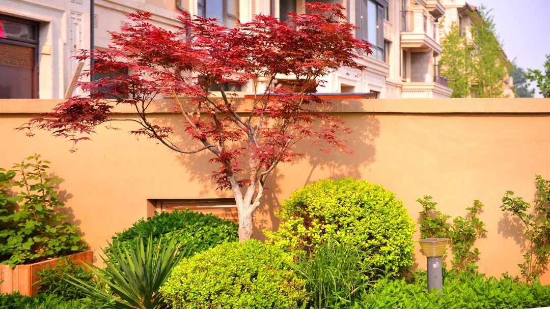 打造独特私家花园，体验简约宁静之美-59