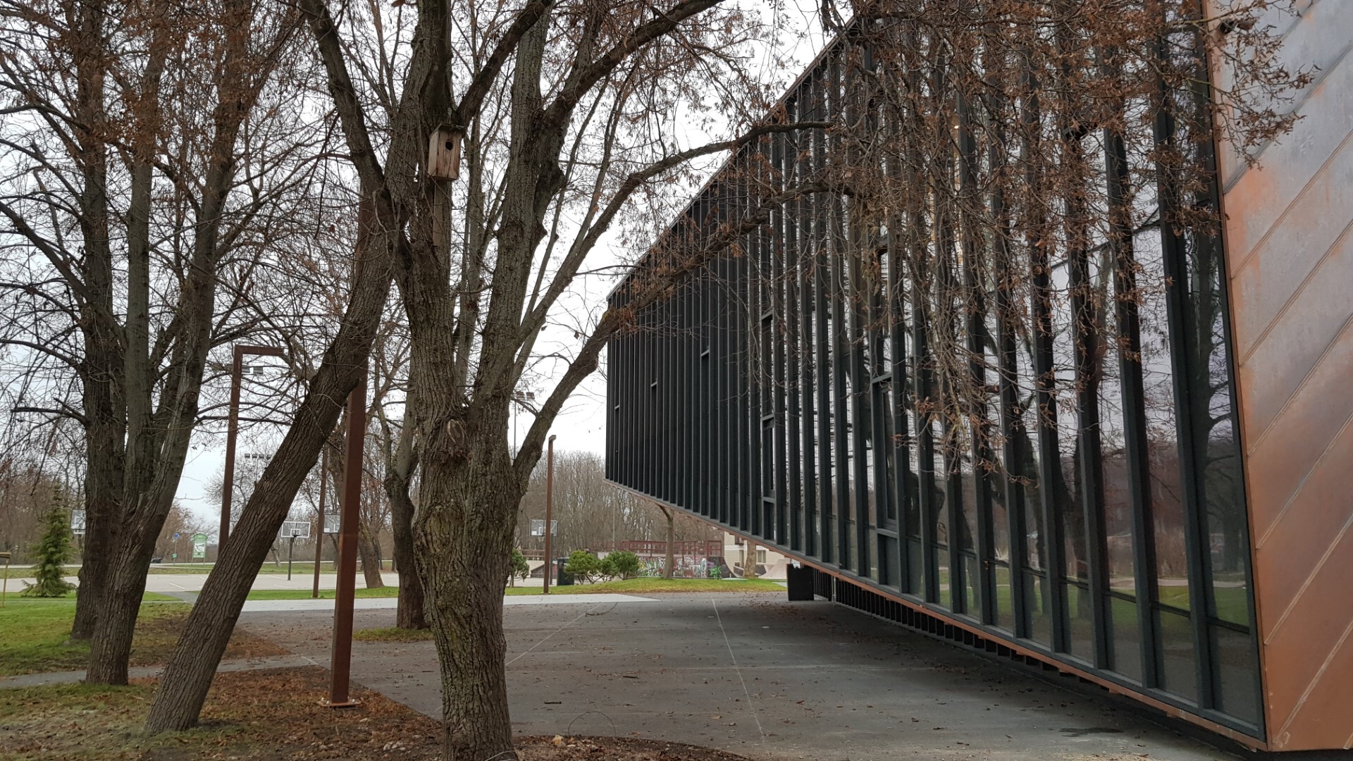 立陶宛篮球之家丨立陶宛考纳斯-12