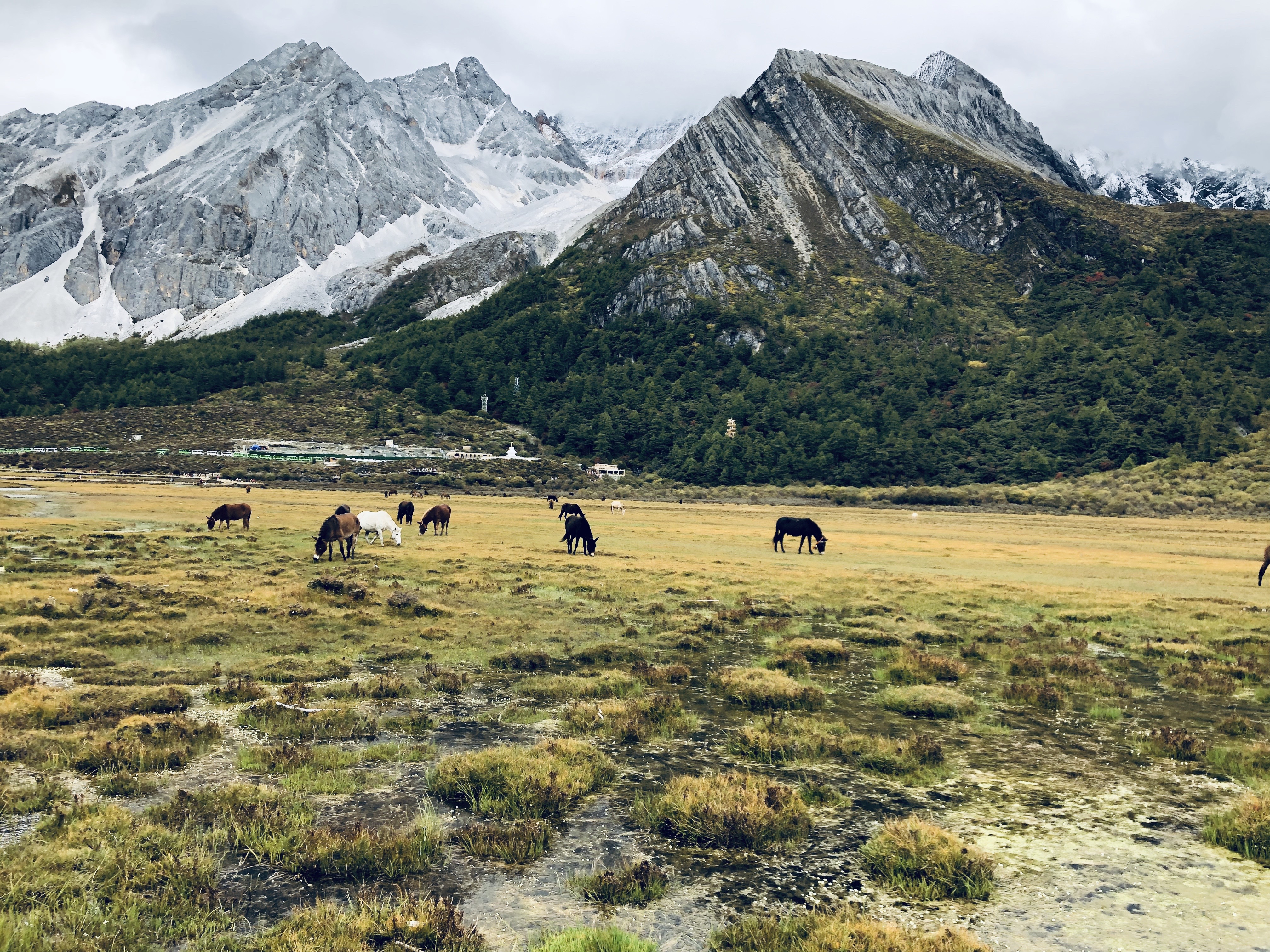 川西大环线相关设计项目（推测）丨也门亚丁-27