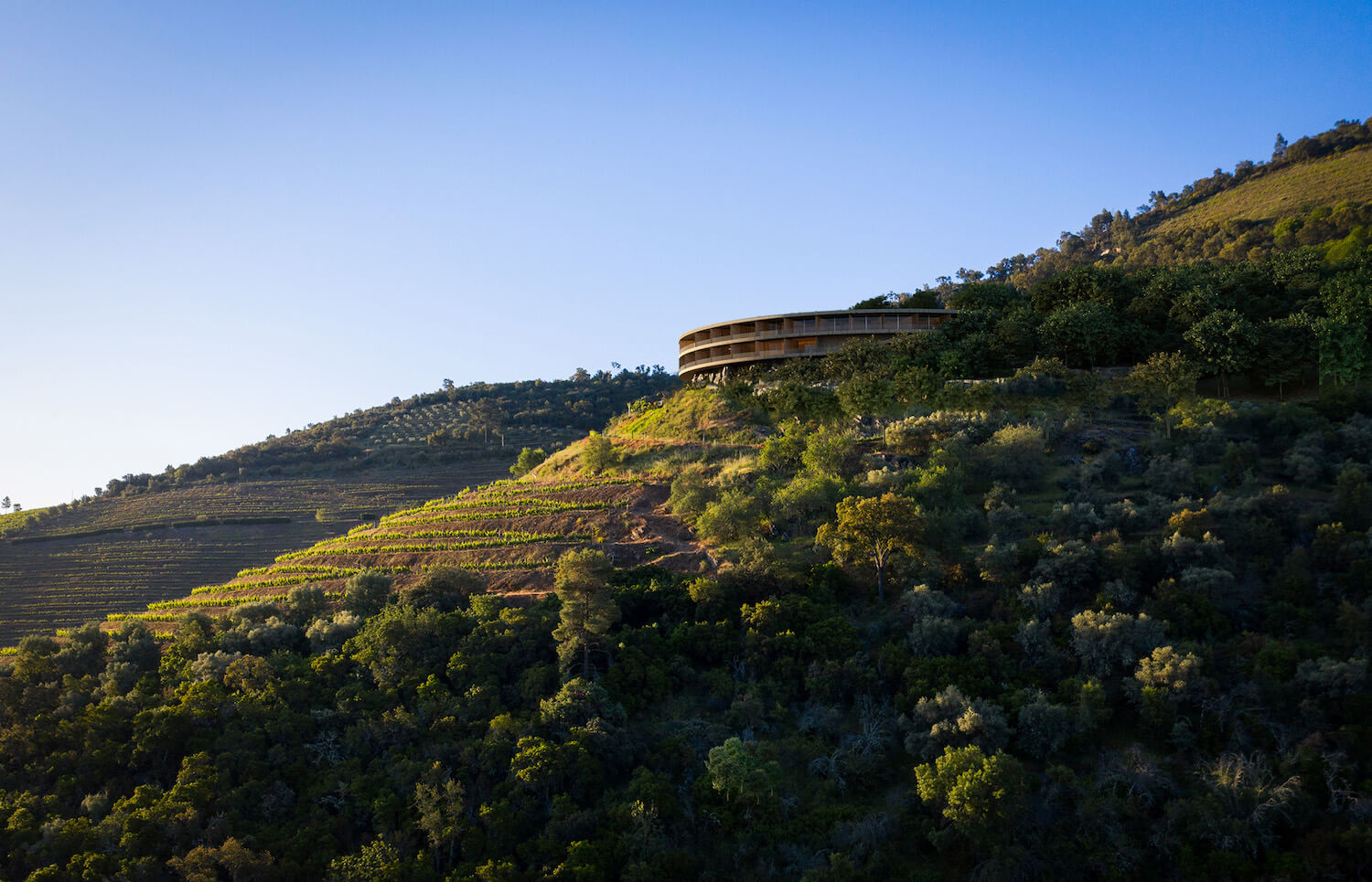 杜罗酒厂酒店丨葡萄牙丨OODA Architecture-10