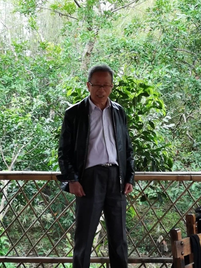 装配式建筑与春季温泉之旅-28