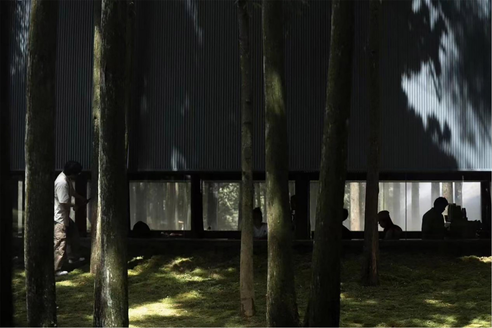 MOJ 森林咖啡丨中国温州丨杭州偲所设计-10