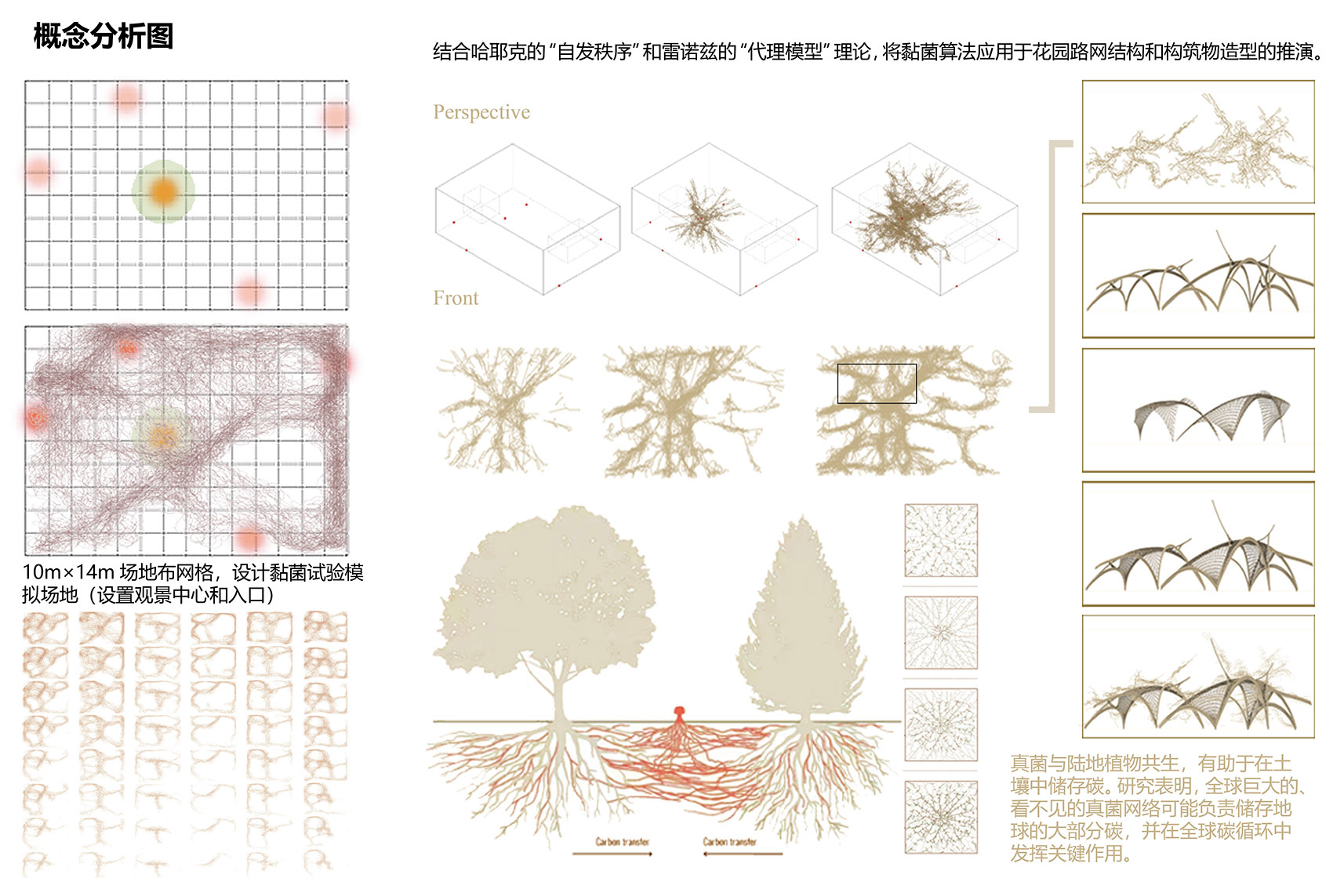 2024首尔国际花园展·生物自组织花园丨韩国首尔丨中国美术学院+中国美术学院风景建筑设计研究总院有限公司+沈实现工作室-30