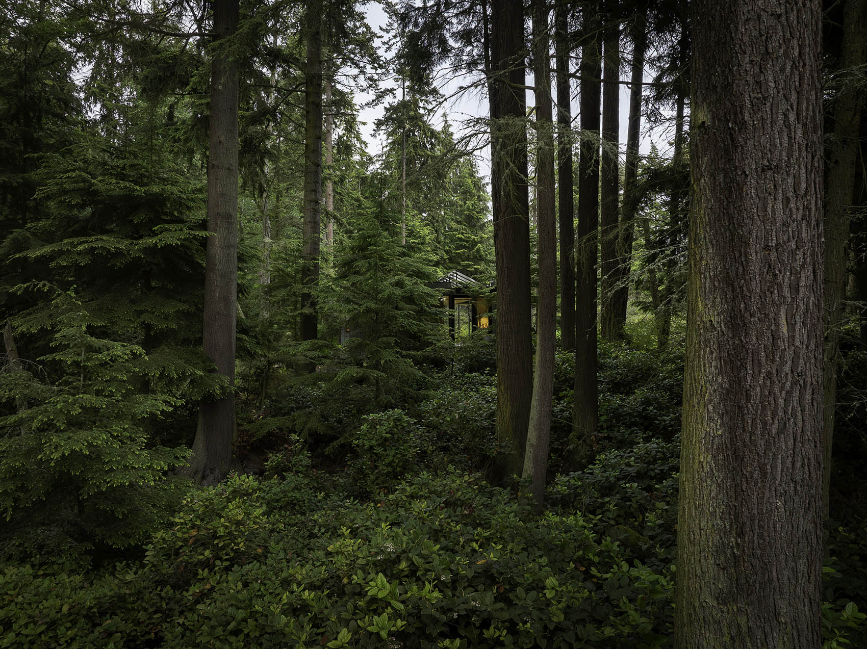 Whidbey模块化预制住宅丨美国华盛顿丨Wittman Estes-10