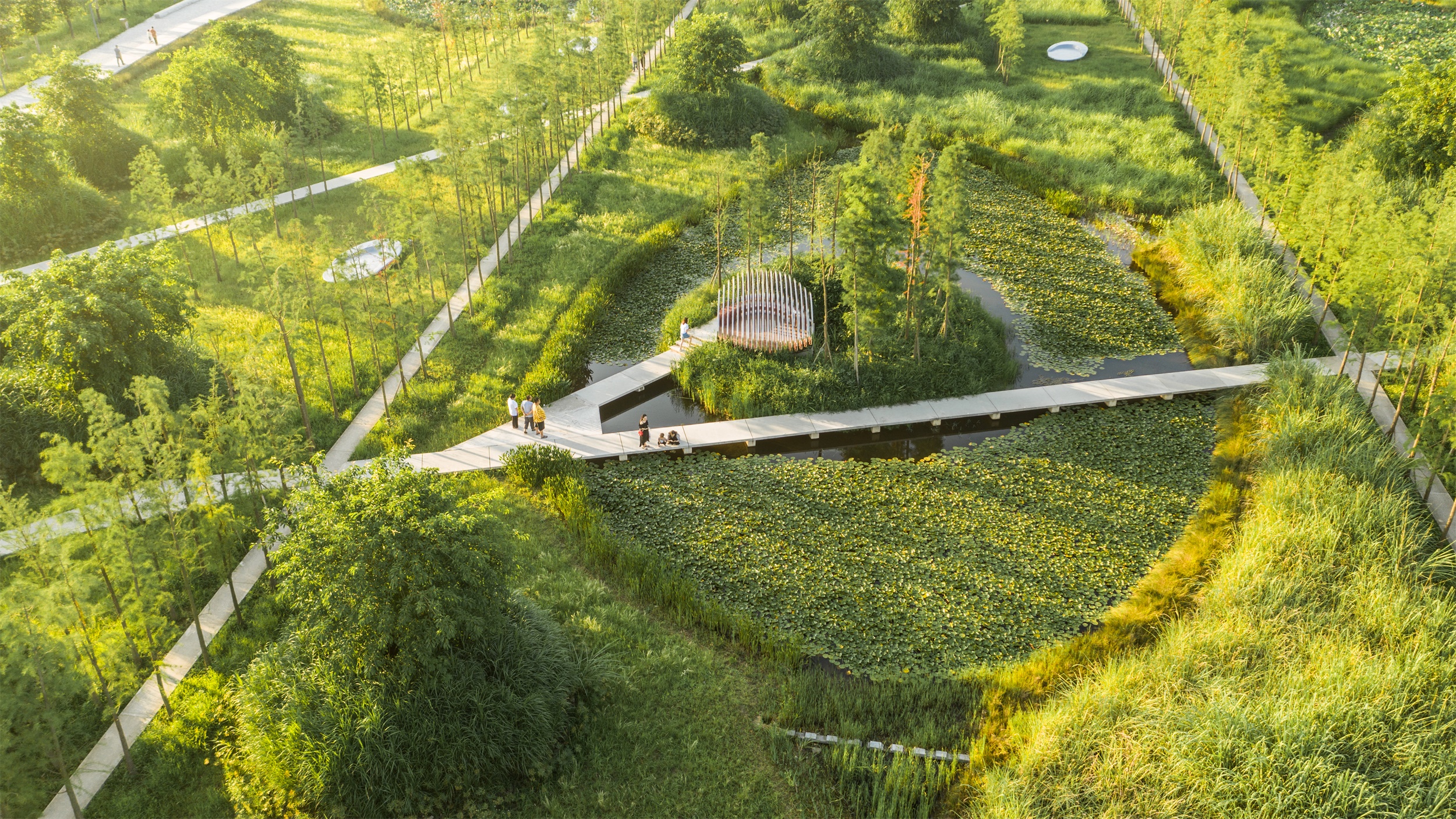 西安雁南公园（二期）丨中国西安丨土人设计（Turenscape）-156